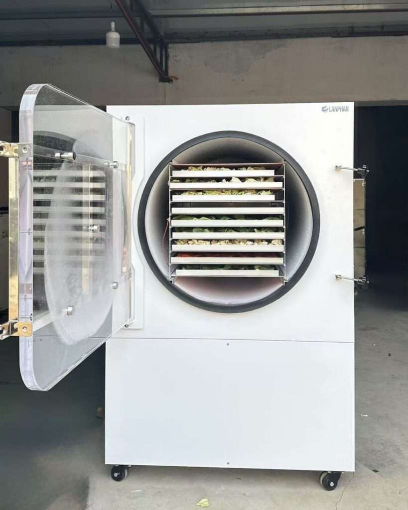 Commercial Freeze Dryer Price